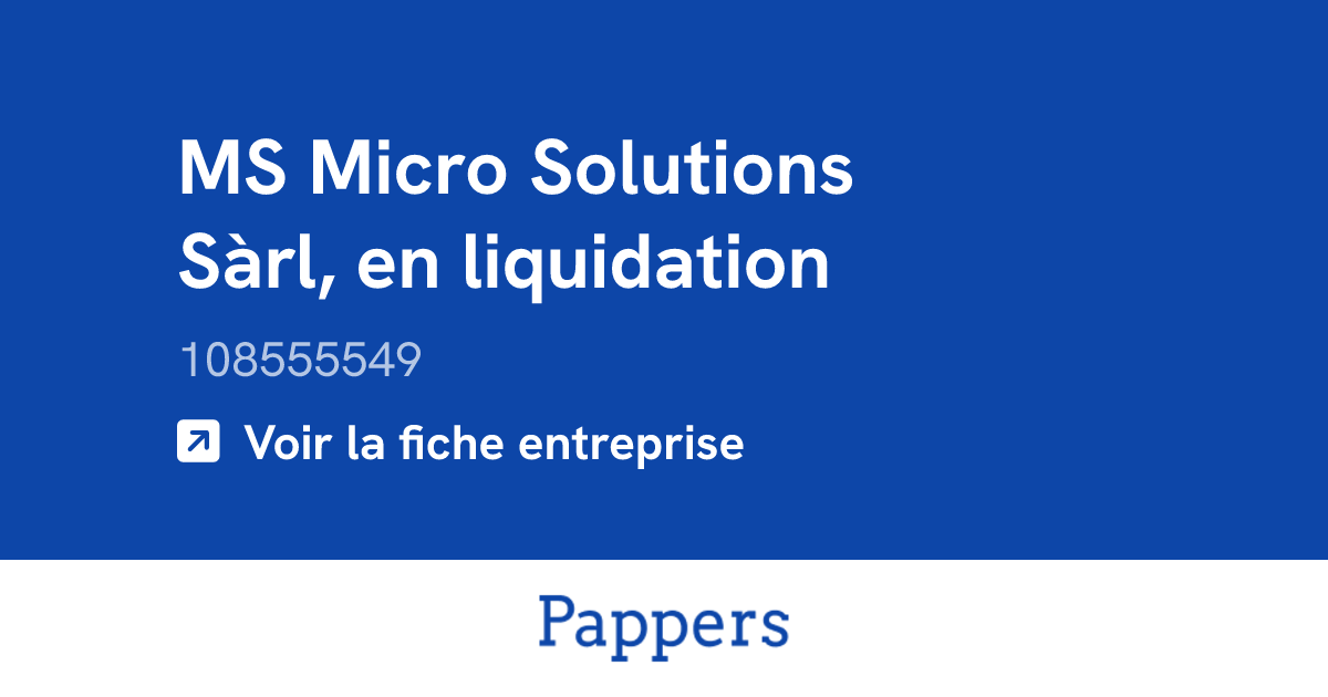 MS Micro Solutions Sàrl, en liquidation (108555549) : Chiffre d ...