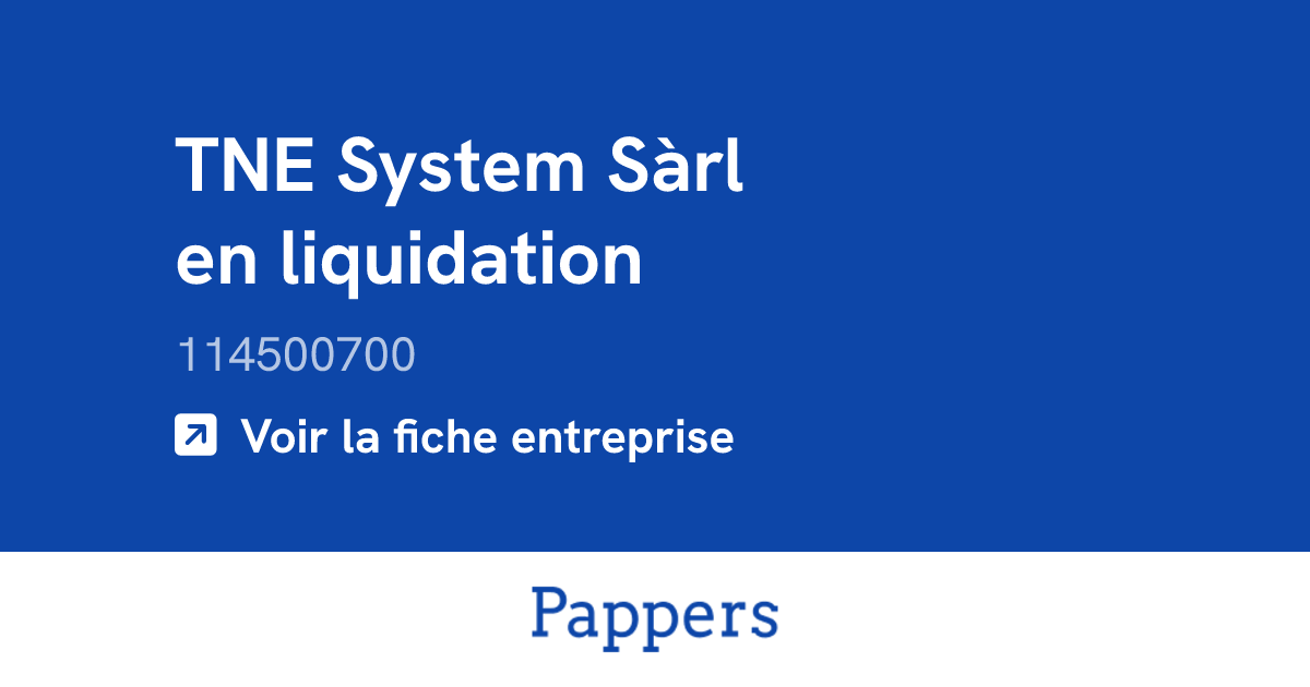 TNE System Sàrl en liquidation (114500700) : Chiffre d'affaires ...